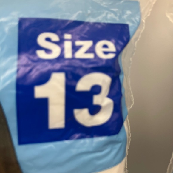 Dixie Belle Ladies Nylon Briefs Size 13 100% Nylon 2 Pairs Per Package (2 pkgs) - Picture 3 of 10